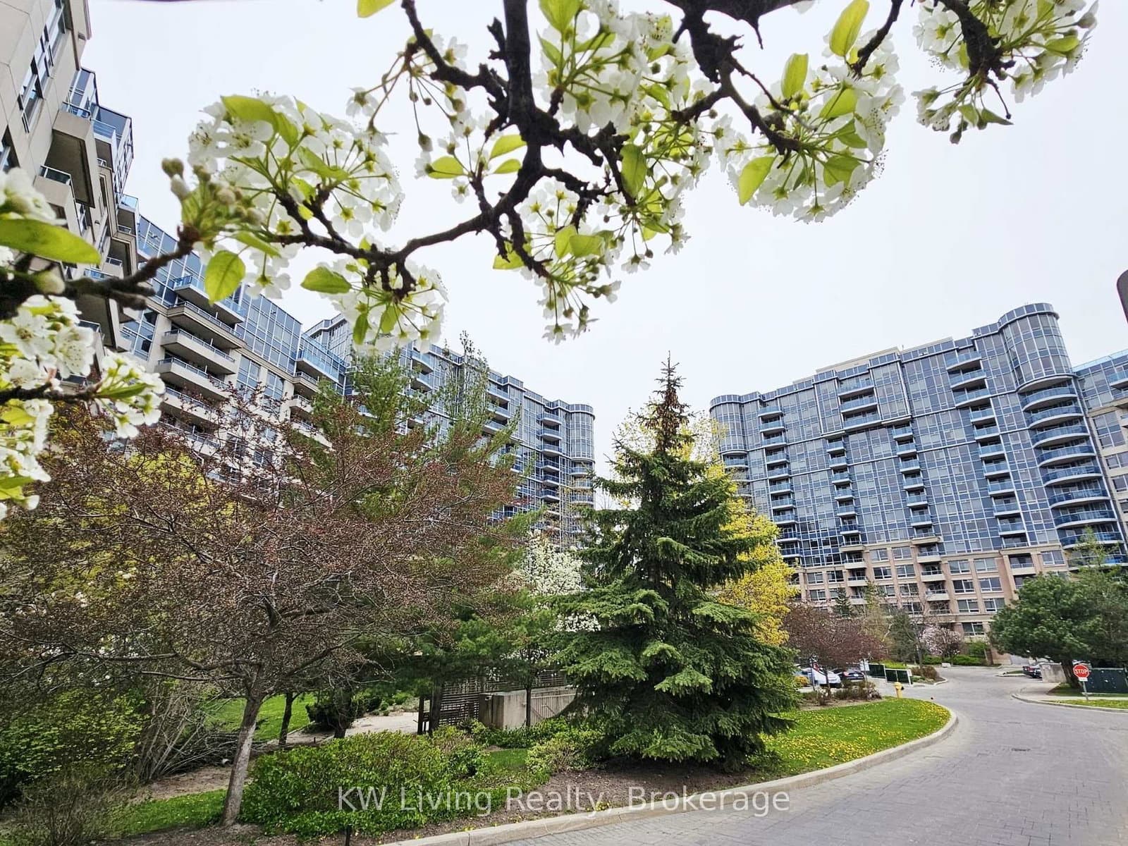 #1117 - 33 Cox Boulevard