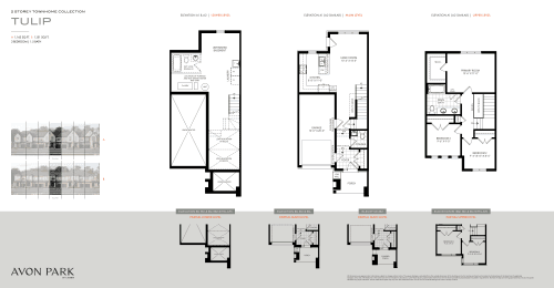 Tulip floor plan