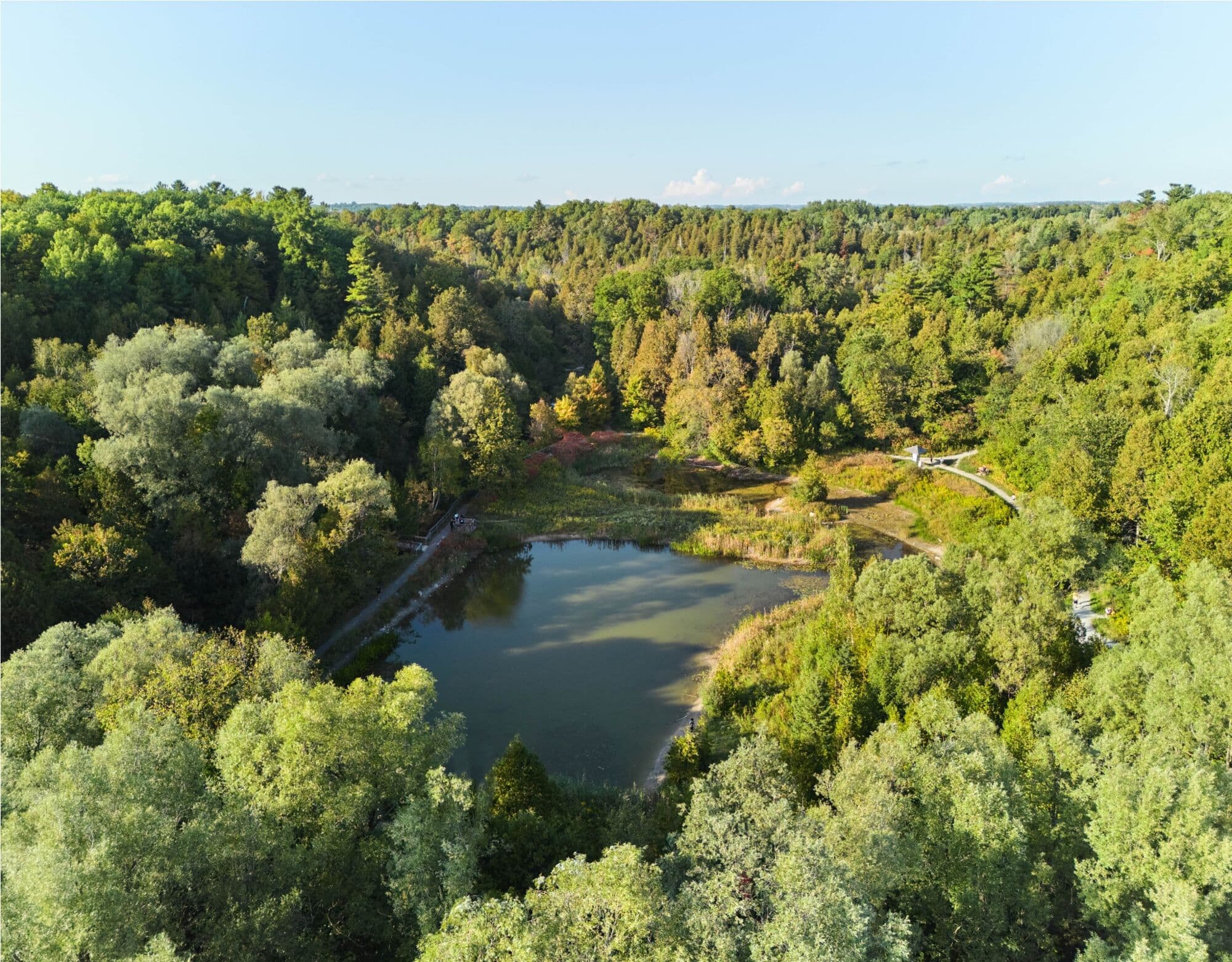 Ashburn Hills Homes - Image 6